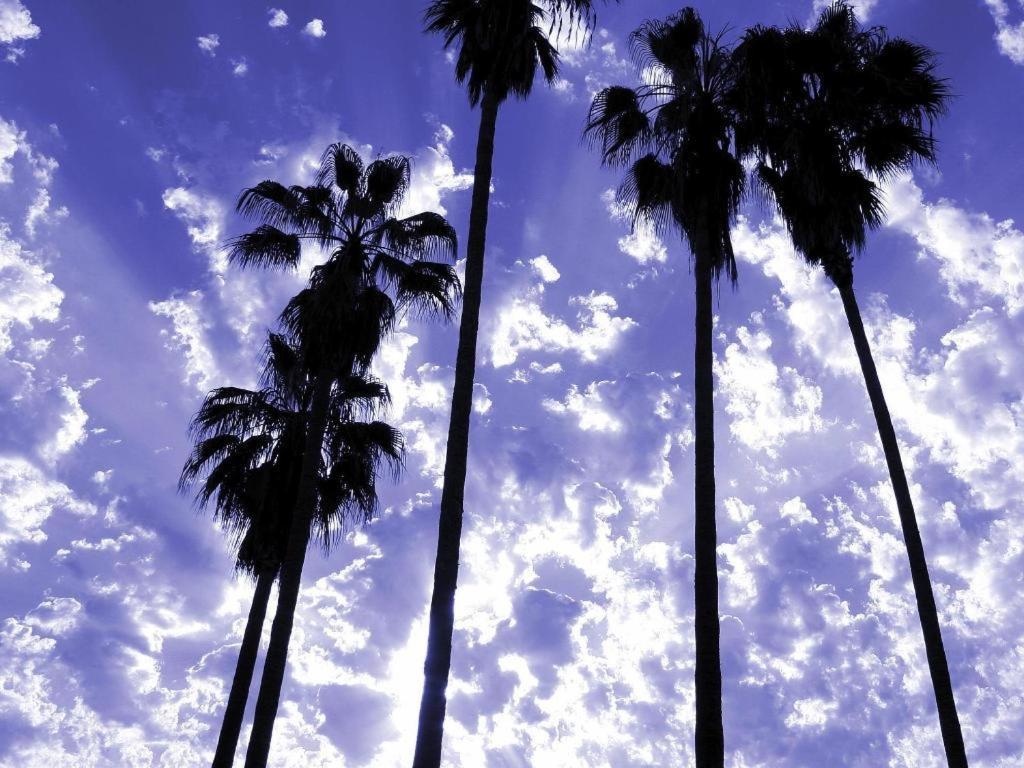 Parker Palm Springs Hotel Kültér fotó